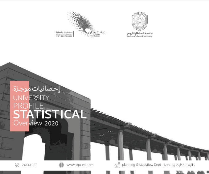 statistical overview 2020